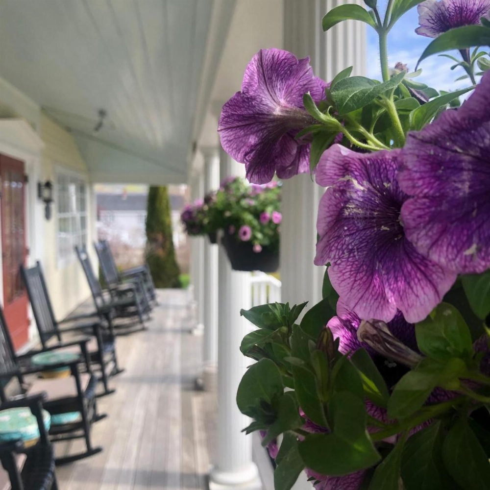 Spouter Inn Bed & Breakfast Image 14